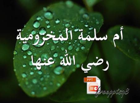 أم سلمة المخزومية رضي الله عنها