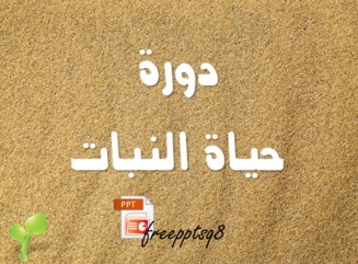دورة حياة النبات