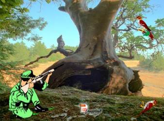 من قتل عصفورا